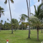 Land Sale in Kurunegala.Land sale in Sri lanka