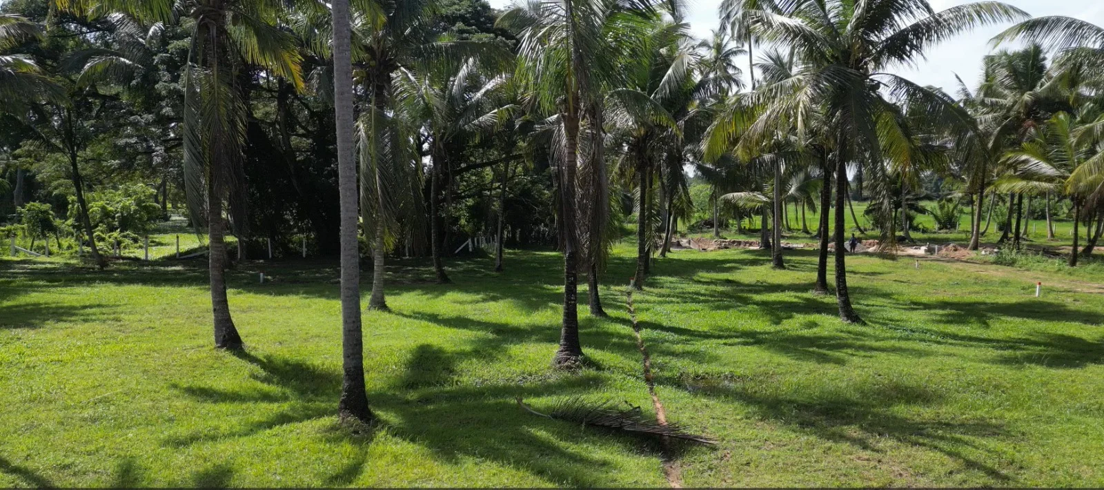 Land Sale in Kurunegala.Land sale in Sri lanka