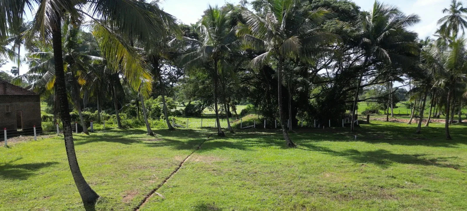Land Sale in Kurunegala.Land sale in Sri lanka