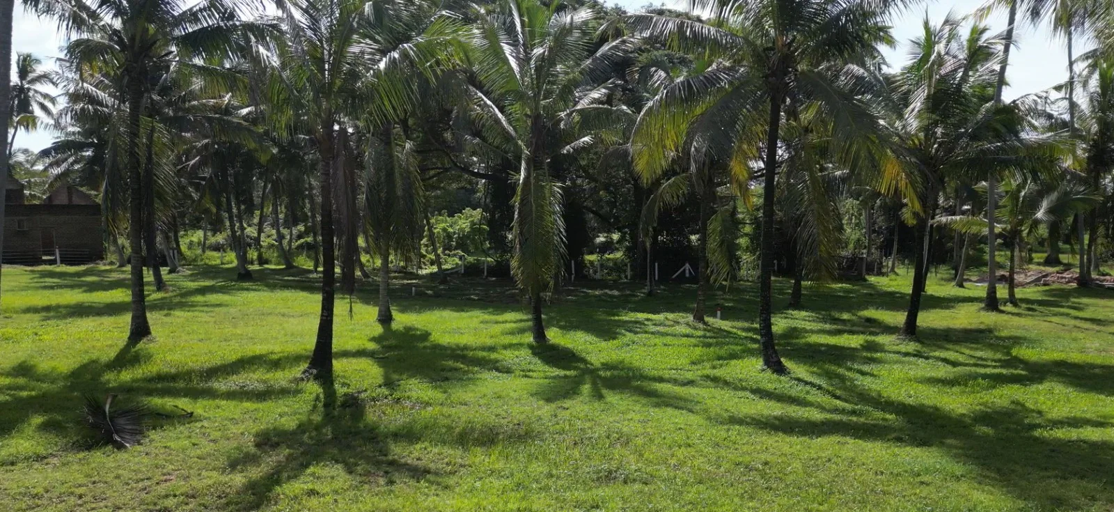 Land Sale in Kurunegala.Land sale in Sri lanka