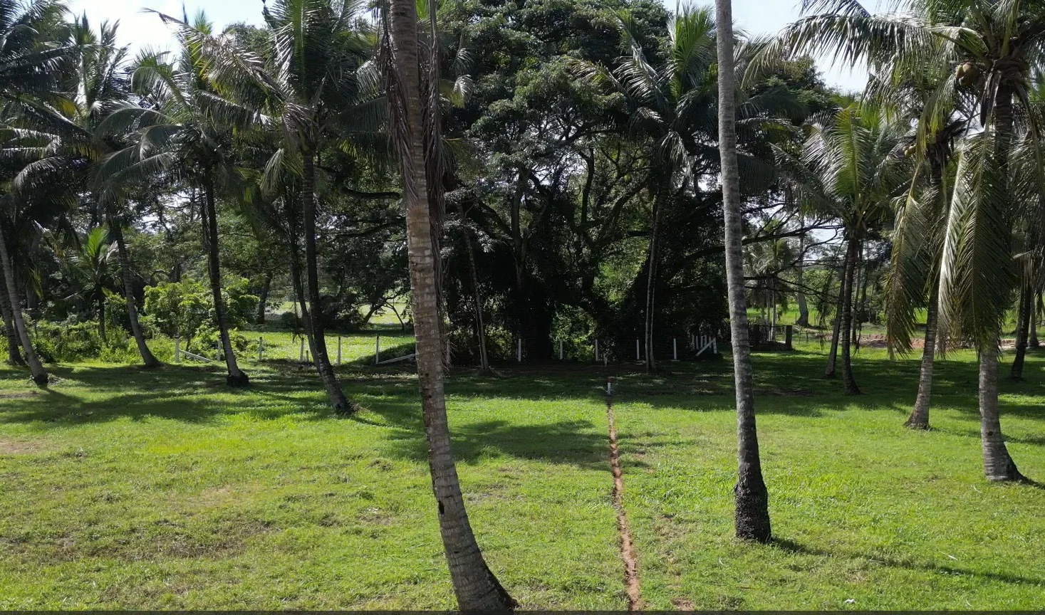 Land Sale in Kurunegala.Land sale in Sri lanka